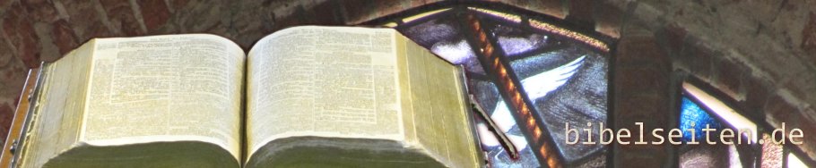 bibleseiten.de